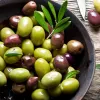 IlSaloneDiMilano Ingrediente Azeite